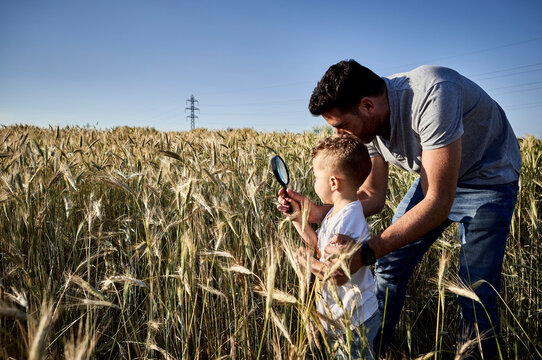 Father and son examining crops with magnifying glass in agricultural field against clear sky