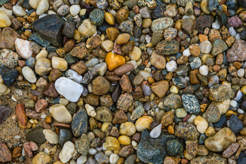Colorful beach stones and shells
