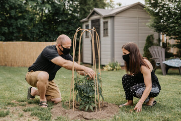 Couple wearing masks examining plant in yard