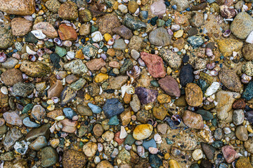 Colorful beach stones and shells 