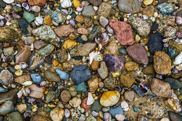 Colorful beach stones and shells 