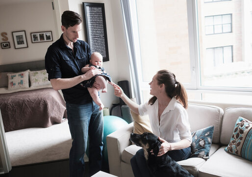 Parents playing with baby daughter (2-5 months) and dog in living room