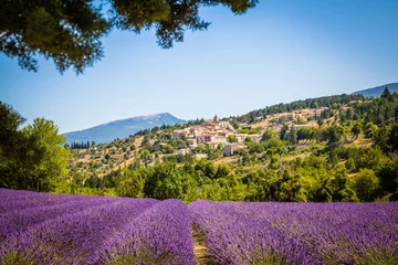 Deurstickers Scenic view of the ancient village of Aurel, Provence, France © hardyuno