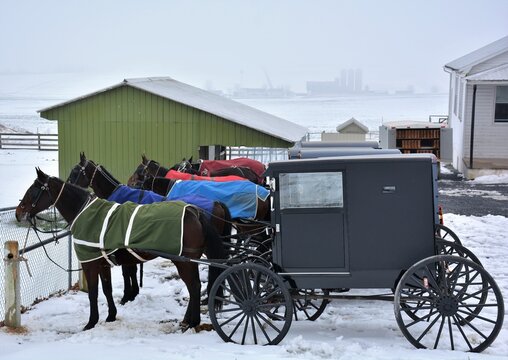 Amish Horse And Carriage On A Snow Day In Lancaster P.A.