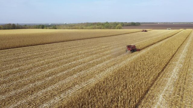 Combine harvesting corn on the field aerial view.