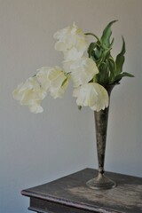 ウィンターパロット