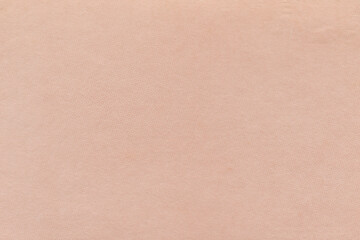 Clean retro paper background. Vintage cardboard texture. Grunge paper for drawing. Simple blank fabric pattern.