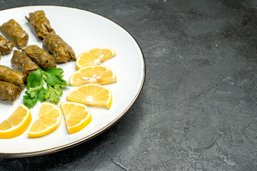 bottom half view stuffed grape leaves parsley leaves and lemon half slices on white oval plate on dark background with copy space