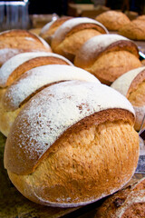 Rows of fresh white bread rolls