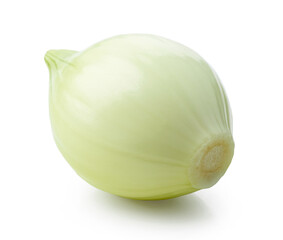fresh raw peeled onion