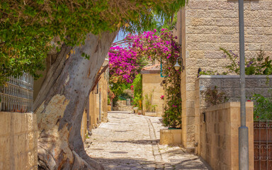 Obraz premium garden Jerusalem landmark street outdoor environment space spring sunny day time blossom tree with pink flowers, no people here