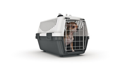 the container for transportation of animals with a small doggie. 3d rendering