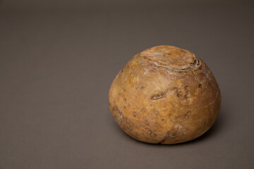 Studio portrait of a rutabaga. The background is grey. 