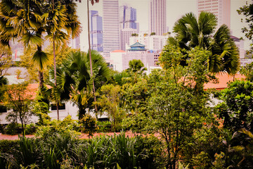 Fototapeta na wymiar Fort Canning Park Singapore, Tropical Garden