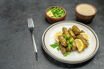 bottom view stuffed grape leaves on white plate bowls of parsley and rice a fork on dark background with free space
