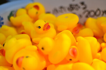 アヒルのおもちゃ