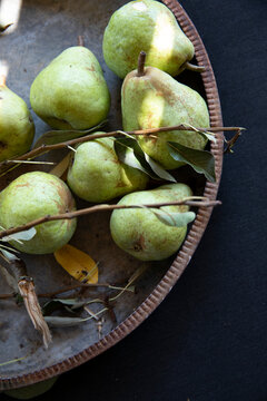 Basket of fresh picked pears shot from overhead