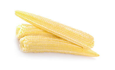 baby corn on a white background