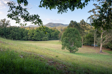 A pleasant rural scene 