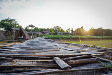 Wooden bridge in corn field with beautiful sunrise.