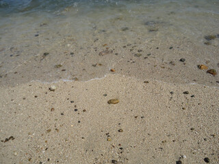 Sea wave on the sand.