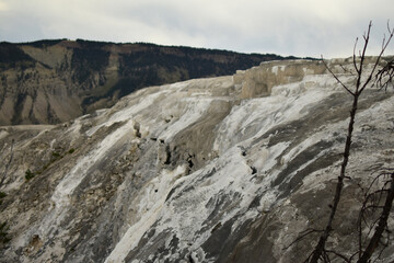 Hydrothermal Features-Yellowstone National Park 