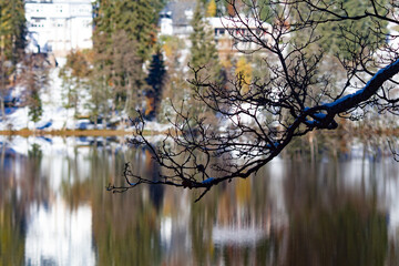 Titisee-Neustadt, Germany - 10 30 2012: surroundings of Titisee, european village in beautiful winter cold day.