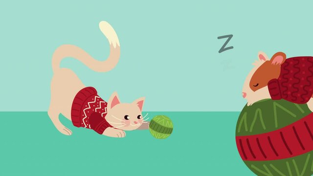cute little cat and hamster sleeping with christmas suit
