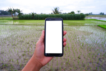 Smartphone Mockup Realistic with agriculture background