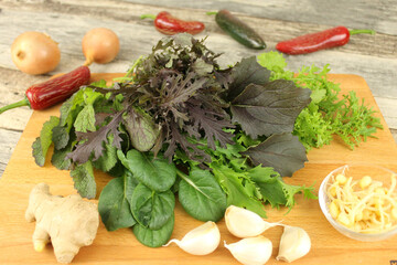 Asia Salate, Asia Salat, Asia Greens, Brassica juncea, Brassica rapa, Blattkohl, Blattgemüse,...