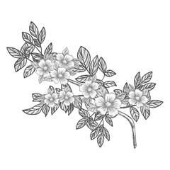 Decorative branches and bouquets. A bouquet of flowers for the decoration of wedding invitation cards and greeting cards. Black engraving, graphics, line art. Vintage.
