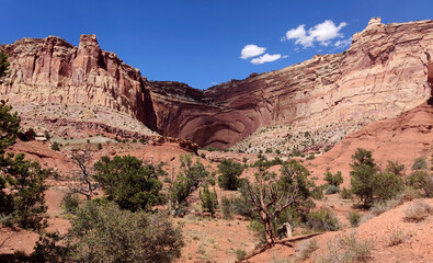 Fototapeta premium Unbelievable sandstone cliff and superlative domes with tumbleweeds on a hot summer partly cloudy day in Capitol Reef National Park in Southern Utah