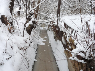 Water in a ditch among the trees, covered with ice in winter, snow lies around