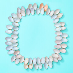 Obraz premium Frame from natural round seashells on blue paper. Summer design background with shells
