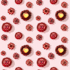 Seamless pattern with close-up bud of dry red flowers, small blossoms. Natural flowery flat lay.