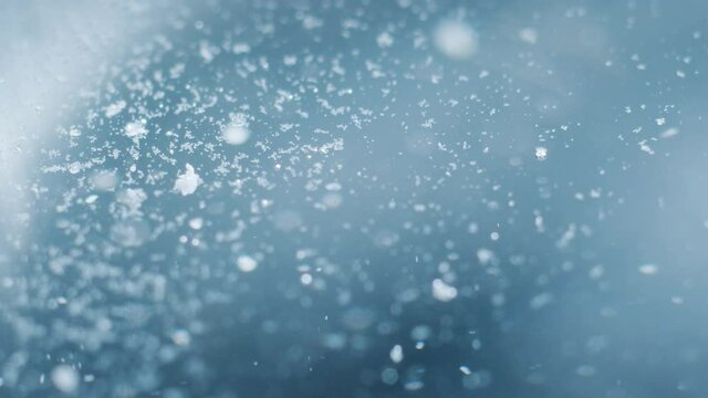 A macro shot of pieces of a soluble tablet rising to the top in bubbles.