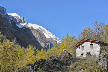 Fototapeta na wymiar traditional alpine cottage in mountain landscape under blue sky