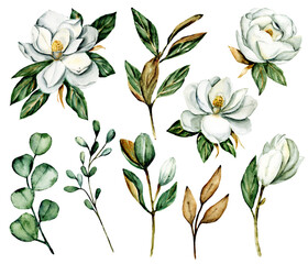 Flower white magnolia set, watercolor floral illustration for greeting card, invitation and other printing design. Isolated on white. Hand drawing.