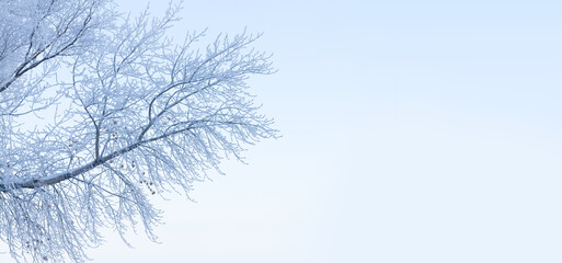 Fototapeta na wymiar Winter landscape with snowy tree over blue sky