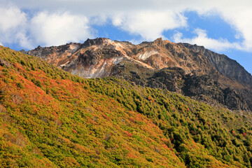 北海道　恵山の紅葉