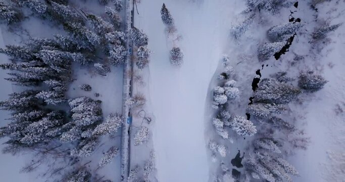 Overhead flying drone shot in Wasatch Forest in December. Capturing rich green spruce trees covered in snow. A tube designed for skiers runs through the forest and up the mountain.