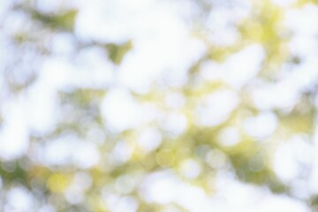 Abstract natural bokeh background