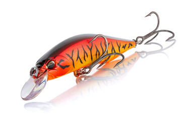 Artificial bait DUO Realis Jerkbait for fishing