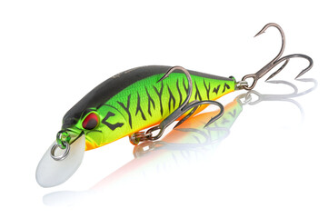Artificial bait DUO Realis Jerkbait for fishing