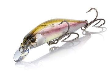 Artificial bait DUO Realis Jerkbait for fishing