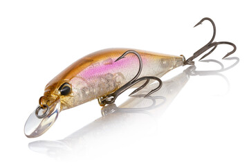 Artificial bait DUO Realis Jerkbait for fishing