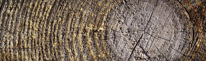 Natural wood background