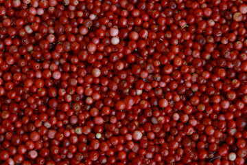 Harvested lingonberry harvest.