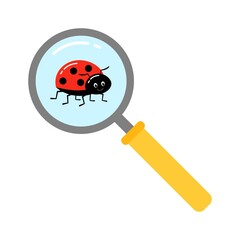 Magnifying glass with lady bugs over white background