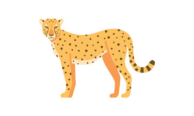 African wild animal cheetah big cat family flat style vector illustration isolated on white background